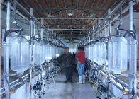 Καυτή γαλβανισμένη αρμέγοντας αίθουσα ψαροκόκκαλων γαλακτοκομικών αγροκτημάτων αρμέγοντας με τη φρουρά παφλασμών