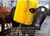 Γρατσουνίζοντας βούρτσα γαλακτοκομικών αγελάδων ηλεκτρικών κινητήρων για ζωικό Massagger, καθαρισμός