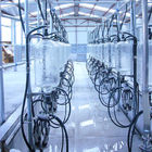 Αυτόματο σύστημα αρμέγοντας αιθουσών ψαροκόκκαλων μέτρου γάλακτος γυαλιού