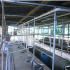 Ψάρια οργάνων καταγραφής γάλακτος Waikato - αποστεώστε την αίθουσα ψαροκόκκαλων για το άρμεγμα της αγελάδας/της αίγας