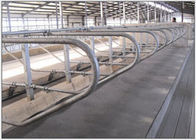 ελεύθερος στάβλος αγελάδων σωλήνων 3mm γαλβανισμένος πάχος για τα αγροκτήματα γαλακτοκομικών αγελάδων