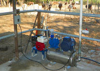 Φορητή αρμέγοντας μηχανή αργιλίου κάδων αγελάδων/προβάτων με τον υγειονομικό κάδο
