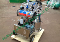 Απορροφώντας μηχανή γάλακτος στηθών Inox αυτόματη για Cattles, 220V 50Hz